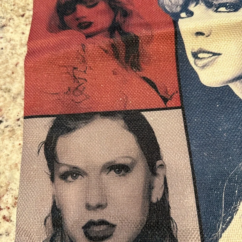NWOT Taylor Swift inspired Pillow Case 18x18